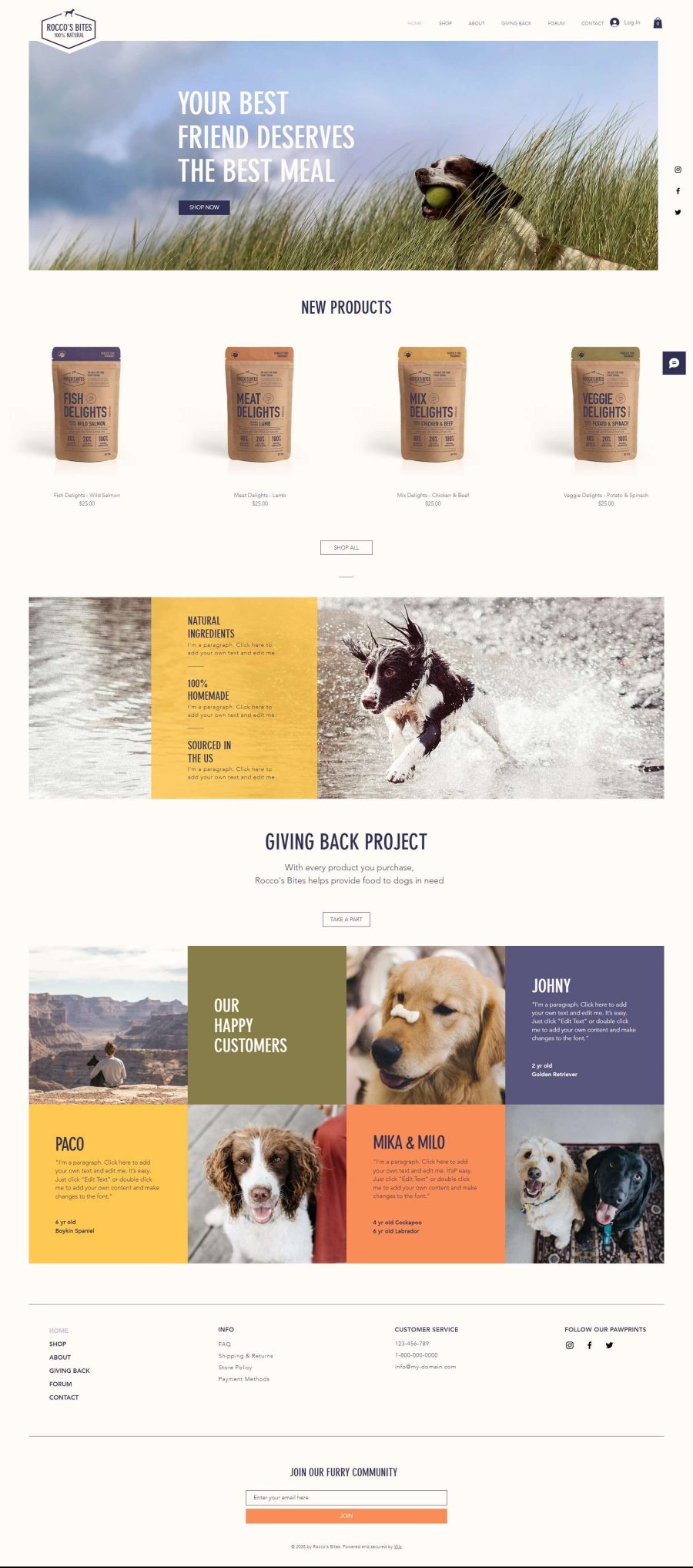 Wix Online Store Template